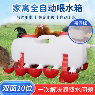 Automatic Waterer for Raising Chickens, Poultry, Pigeons, Quail Drinking Bowls, Drinking Bowls, Automatic Water Feeders, Chicken Buckets, Water Bowls