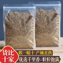 千里香 500g九里香百里香莳萝籽火锅卤菜香料 天然增香调味料调料
