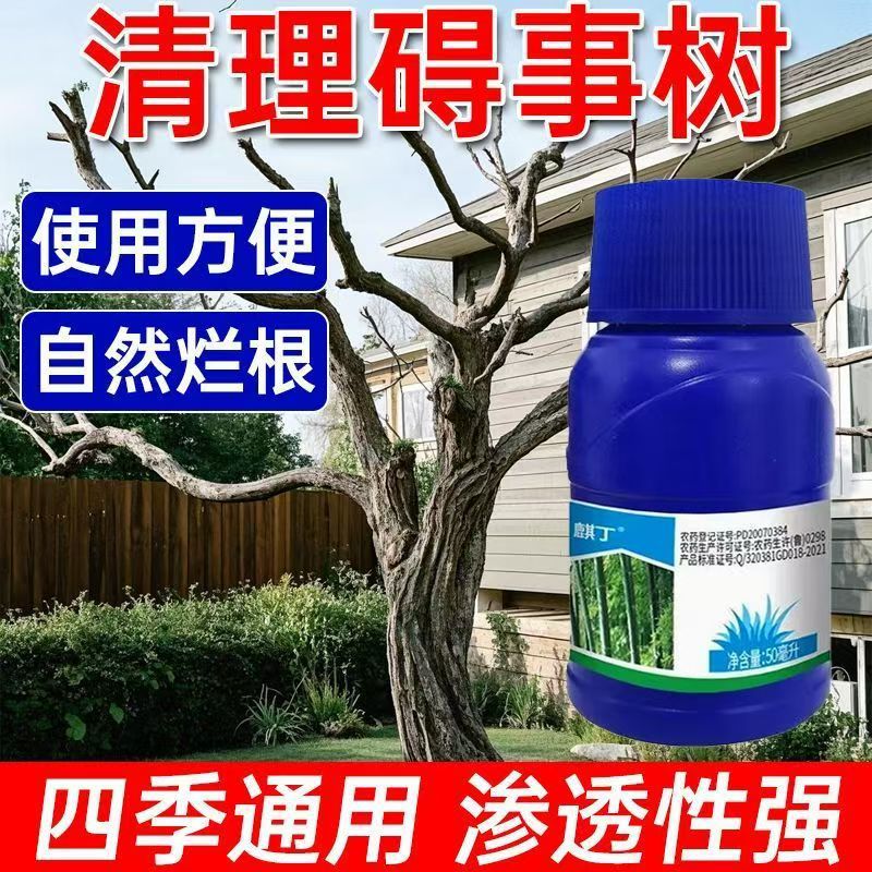 微信图片_20250913164202_55_11