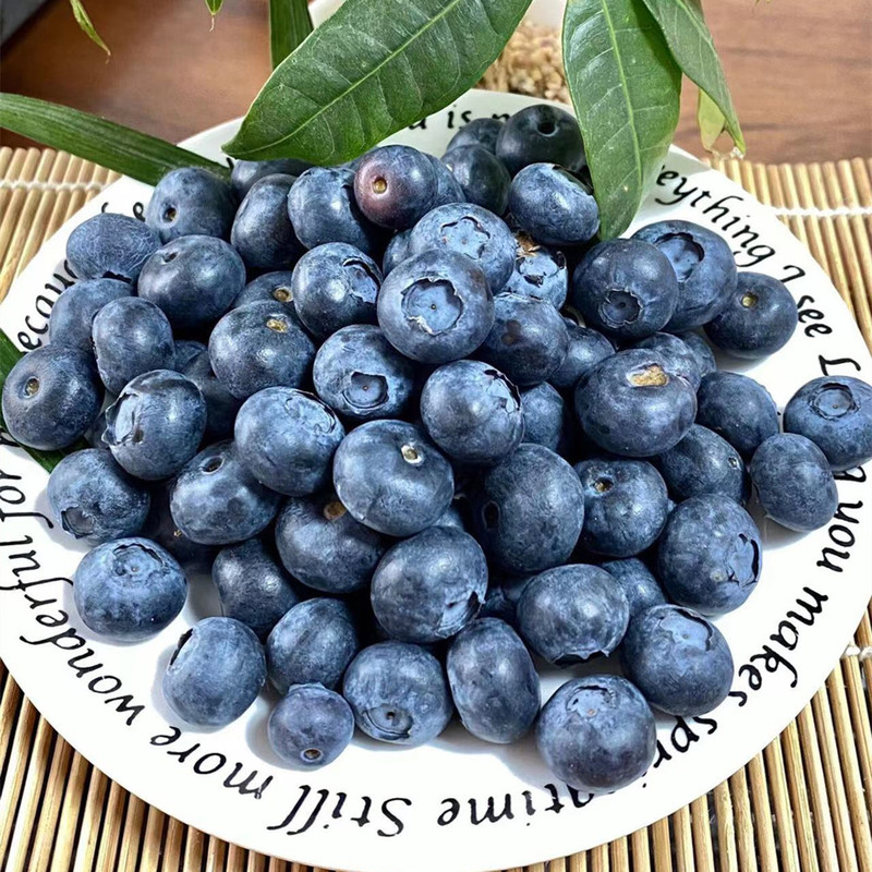 [Sf Air Freight] Yunnan First Crop L25 Floral Blueberry Crispy Sweet and Juicy 6 Boxes of Fresh Fruit Drop Shipping