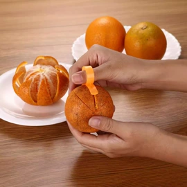 刨子、削皮器;厨房小工具;食物夹