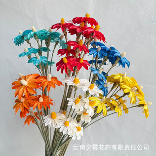 �����m�ֹ����ɻ���������ɫС�r��diyճ��ins�Ҿ��b廨С����