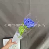 Rose bright blue