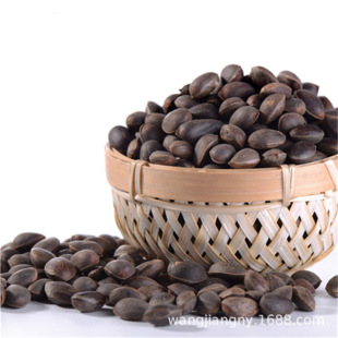 ��Ϻ����Ә�����������������Թ����������|���t���Ӯ���Y��