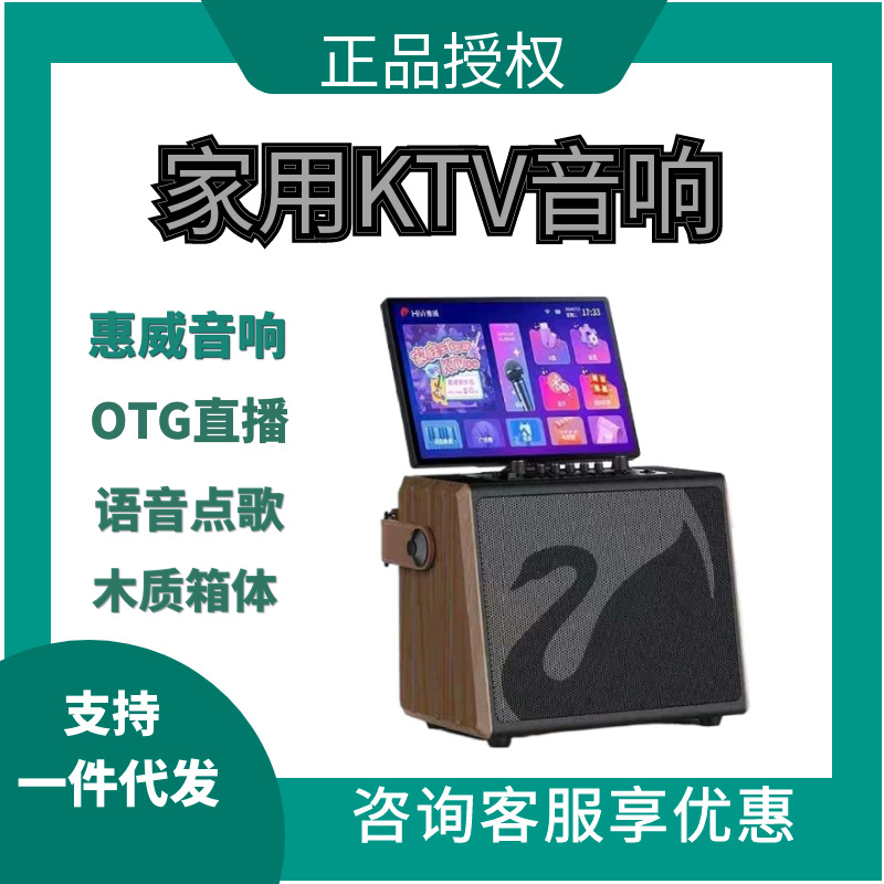 Hivi Audio Ms85 Smart Karaoke All-In-One Machine with Display Home Ktv Singing Live Broadcast Portable Speaker