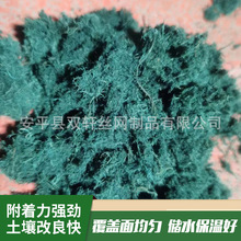 �G���������Ē�W���w�S�o��ľ�w�S���B���ĸߠ����������ľ�w�S