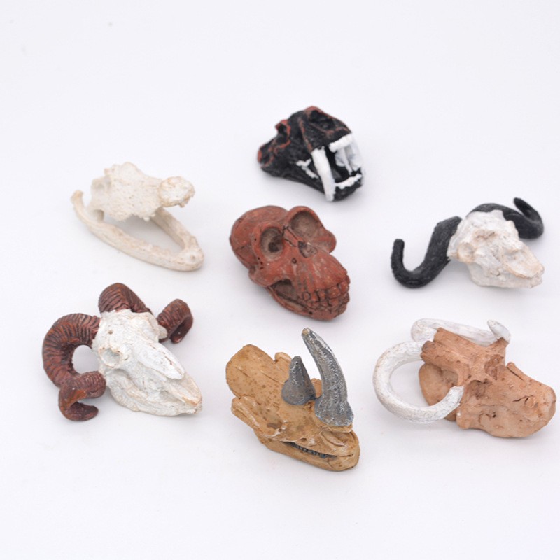 P007-48-Full 박스 라이브 에디션 스몰 사이즈-해골