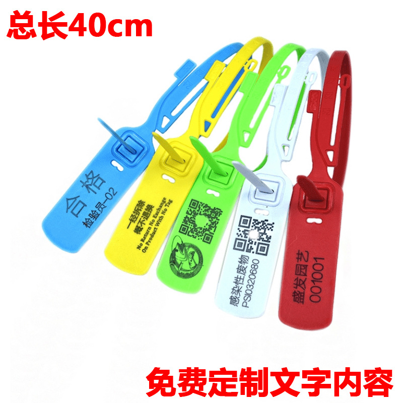 工厂供应塑料标签集装箱物流封条防伪标牌标签扎带防穿防调包扣