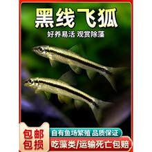 �ھ��w��һ���w��ˮ�ݸ׳���ë�����̦���������������~�Ꭷ���w