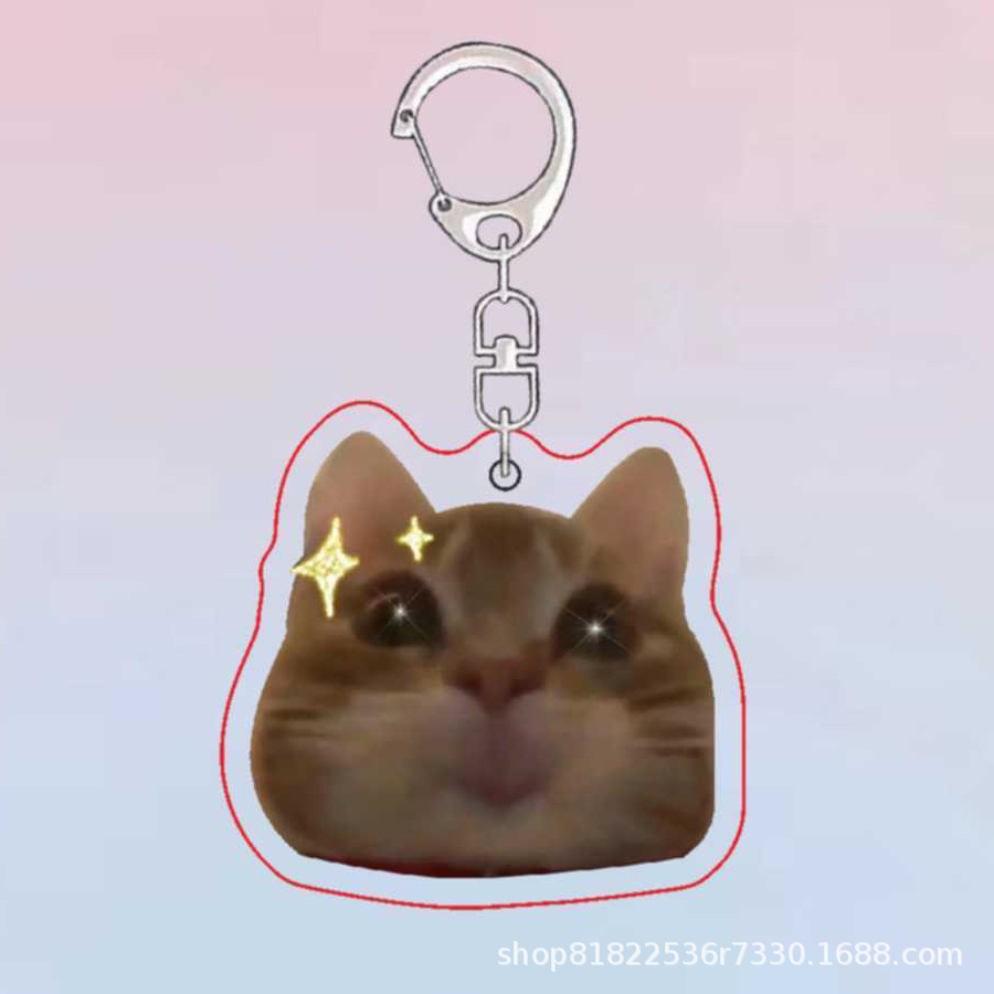 투약 고양이 B6674