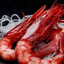 ����tħ�r���r���r�r���ك���Īɣ�ȿ��������tħ�rβ�r�ʼtħ�r