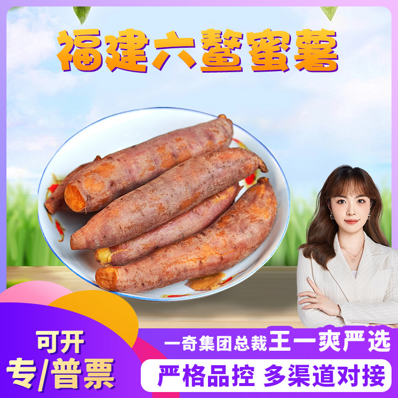 【严选】福建漳州六鳌蜜薯代发3斤新鲜甜糯烤地瓜当季蔬菜非紫薯