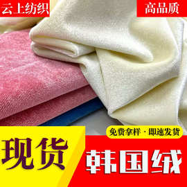 现货240g韩国绒经编金丝绒四面弹力绒布料服装玩具鞋帽面料