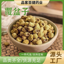 șĴƷșrҰӴɳԷӲl