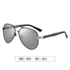Black Silver Frame Change