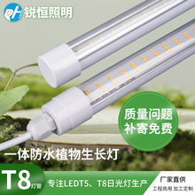 T8���w��ˮֲ�����L���҃�ȫ���Vֲ�����L���߲˴������ֲ�����