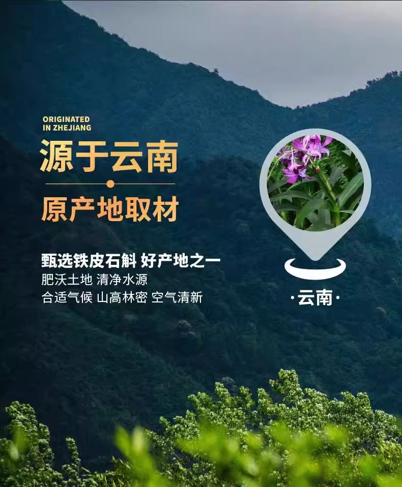 Huo Shan Tie Pi Shi Hu Fengdou Dendrobium 10g Premium Dried Stems Traditional Tonic Gift for Elders overview