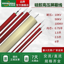 GYXZV�߉�������ԇ򞾀��ֱ��20/30/50KV100KV���z�߉���|�yԇ��