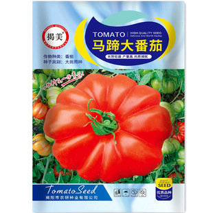 �����R����ѷN�� �������t���N�� �R�㷬�� �l�y����1000���b