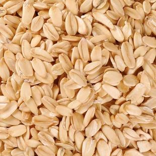 ����Ƭԭζ����Ƭ��������s�Z�r�Ҽ�ʳ�����ּZ�������������ʳ