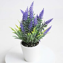 ��@���s����Gֲ���Կ͏d�k���҃��b�ֲ��ҾӔ[������޹�²�