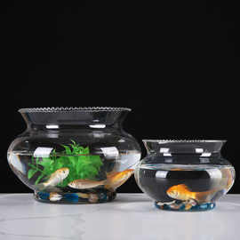 创意水族箱生态圆形花边形玻璃金鱼缸乌龟缸迷你小型造景水培花瓶