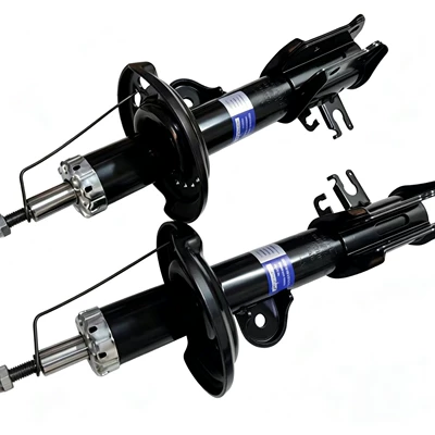 Rear Shock Absorber, damping system