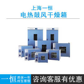 上海一恒DHG-9015A/9425A/9625A电热鼓风干燥箱RT+10~300℃