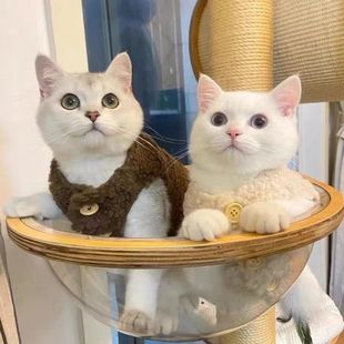 Cat Clothes Wholesale Warm Lamb Wool Vest Vest Ragdoll Blue Cat Kitten Pet Winter Clothing Kitten Fleece-Lined Style