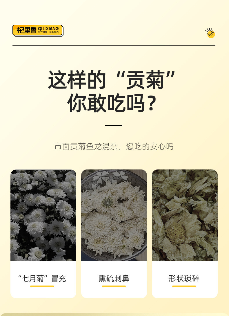 Huangshan Gongju White Chrysanthemum Flower Tea 25g Jar Dried Chrysanthemum for Daily Herbal Tea overview