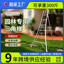 �@�֌������ǹ��@�����ժ�޼�@ˇ�X�Ͻ��ۯB�G���Ӻ����_��