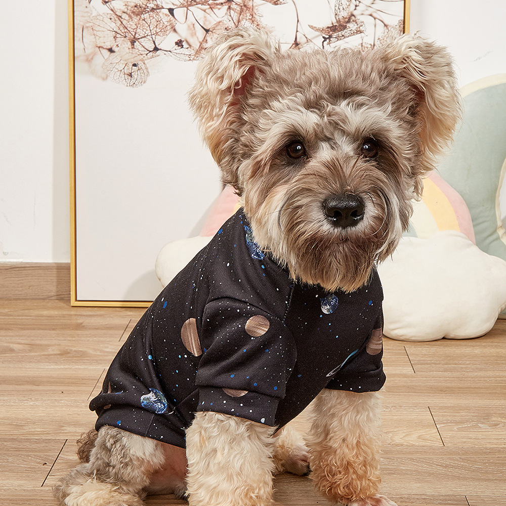 pet clothes 2022 New