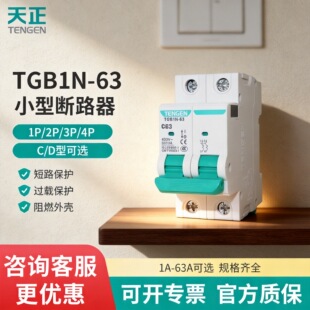 ����늚� �՚��_�P���ÿ��_�^�d���oTGB1N-63 C�͔�·��