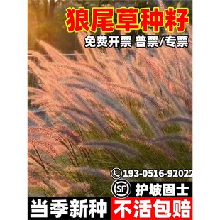 �^�p��β�ݷN������������β�ݷN�����Թ��@�G����·�ӵ��o�²���