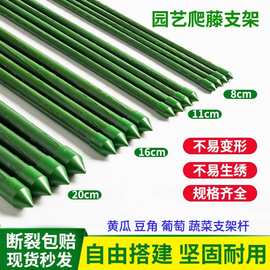 跨境爬藤架子塑料支撑架豆角黄瓜架爬藤杆园艺包塑钢管植物爬藤架