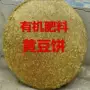 新鲜油坊添加钓鱼肥料