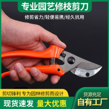 ���ڈ@ˇ��֦������֦�@����֦��@ˇ������������z���m�ֱ�����