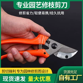 修枝剪;篱笆剪;铲子