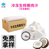 南壹食品進口冷凍生榨椰肉汁植物基蛋白椰乳飲品商用椰漿原料批發