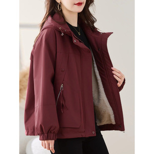 �ӽq�Ӻ񰲿����t�޷�Ů�̿�2025�����¿��n�汣ů�������