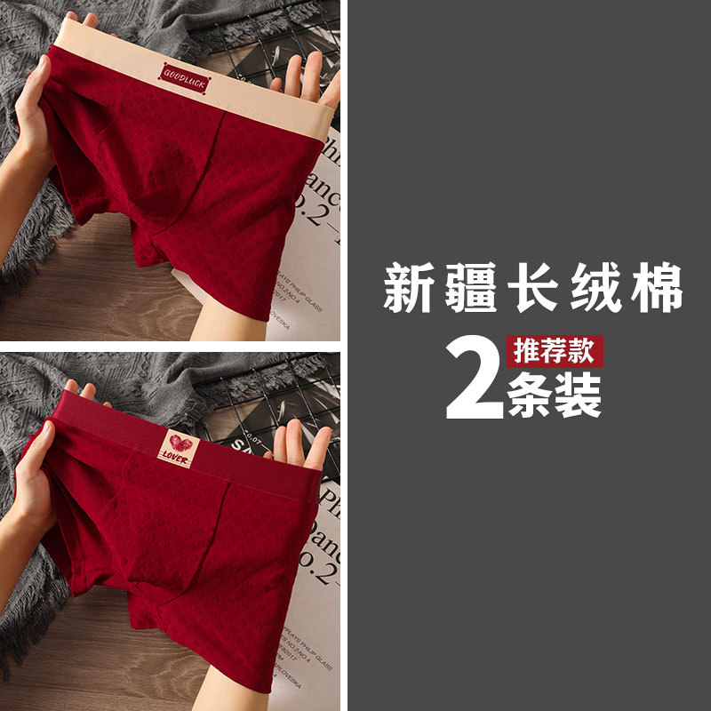 2팩  행운과 행운 + 행운과 따뜻한 마음