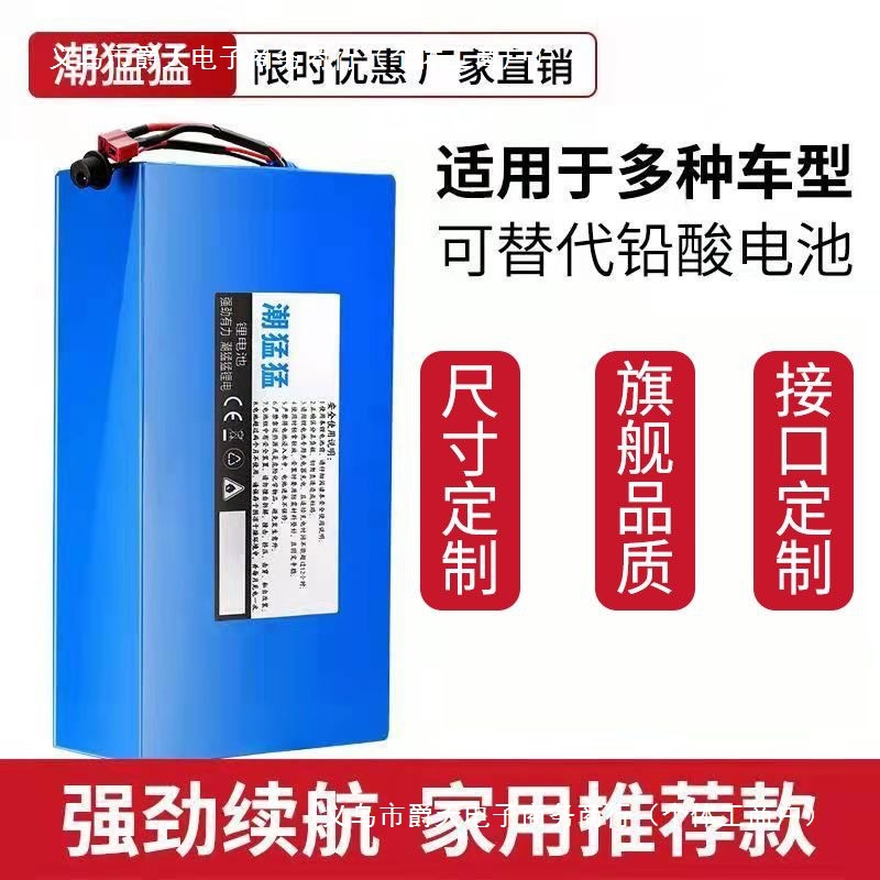电动车锂电池24v36v48v60v代驾电瓶蓄电池批发大容量海霸款