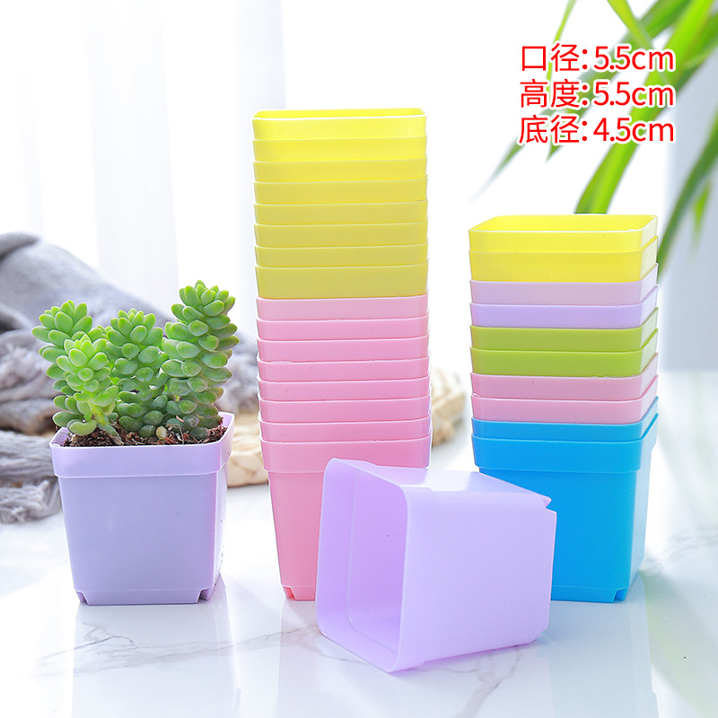 Maceta pequeña colorida para suculentas transpirable