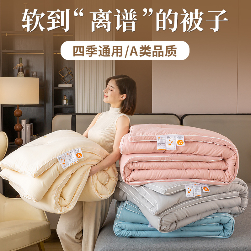 Soybean Fiber Quilt Class A Maternal and Infant Grade Spring and Autumn Quilt Core Quilt Two-in-One Winter Quilt Thickened Warm Quilt