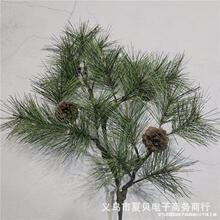 ����ֲ�����l ���控�ɹ��ɘ�֦ ����������ɰ�֦ �ɘ乤��ֲ��