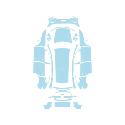 Car paint protective film | Film