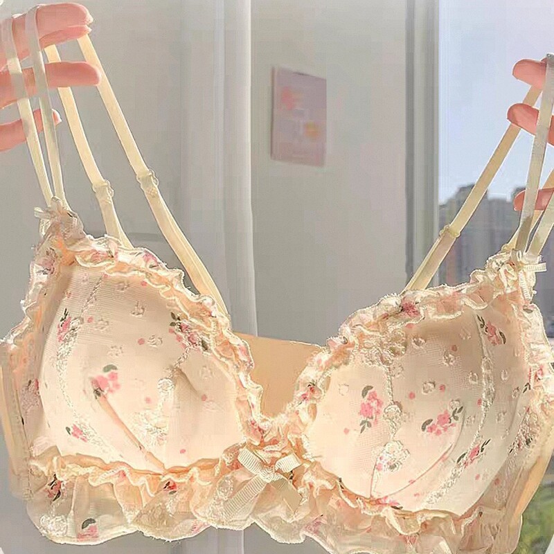 Small Bust Push-Up Sweet Bra Set with Beautiful Back for Women, Japanese Style, Wireless Lace Sexy Lingerie