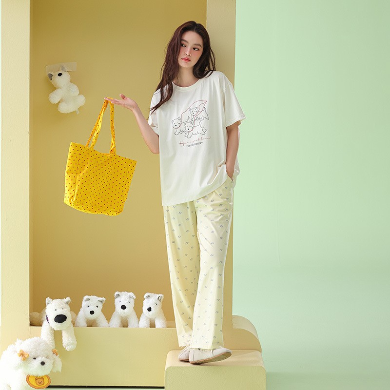 SD11262082·밝은 노란색