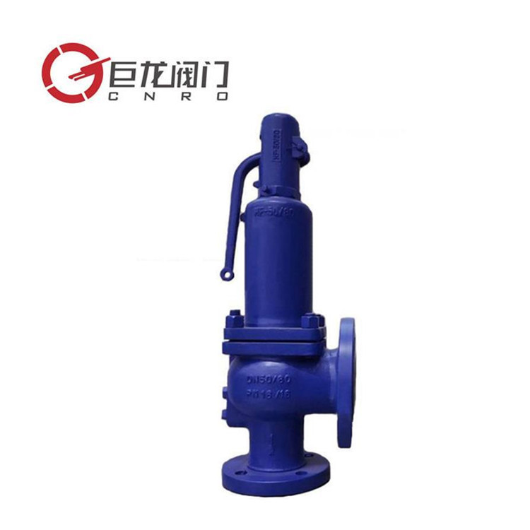 巨龙阀门 不锈钢德标波纹管安全阀HFA42Y-16C 弹簧封闭式泄压阀