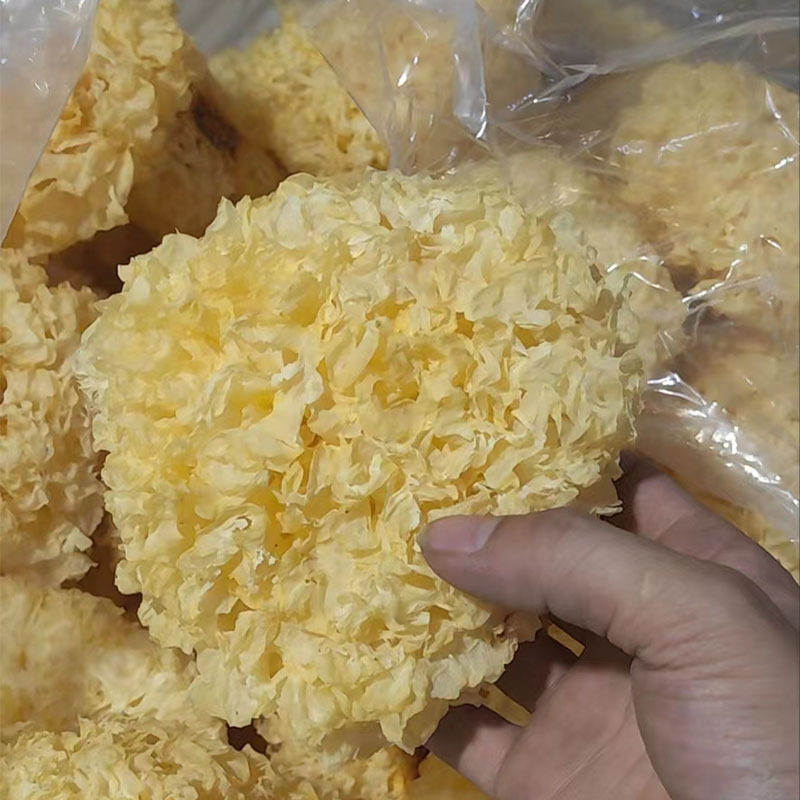 ae5073a7de2debcc976b6ee1d938d1